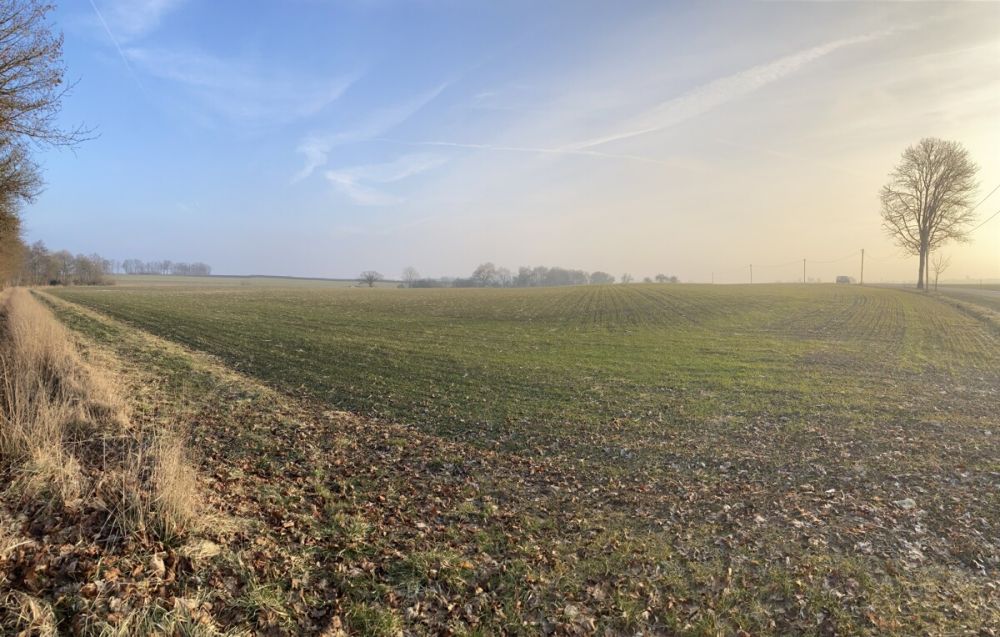 Nutzen Sie die Gelegenheit - Ackerfläche bei Spielbach/Schrozberg! (4)