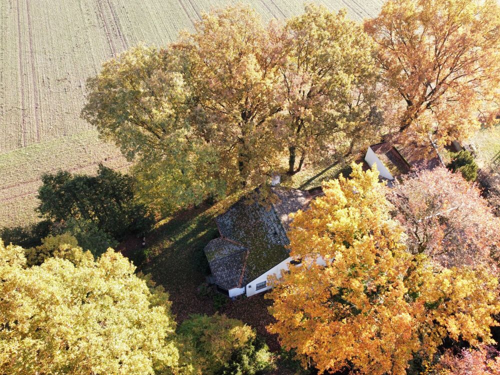 Bessere Lage in Telgte gibt´s selten