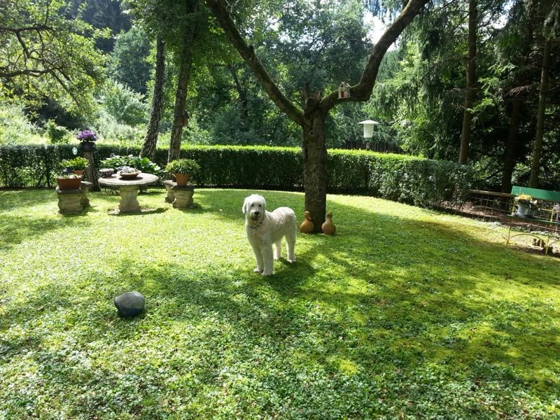Einfamilienhaus in Alleinlage mit großem Grundstück und eigenem Wald
