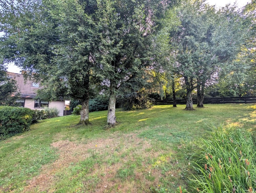 Ländliche Idylle pur! Wohnbaugrundstück in Kürten-Engeldorf