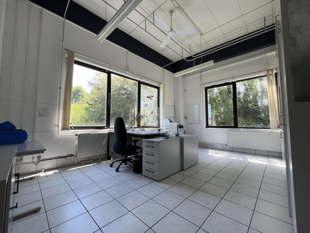 Fertigungsgebäude in Massivbauweise am Ortsrand von Floß mit vielseitigen Nutzungsmöglichkeiten