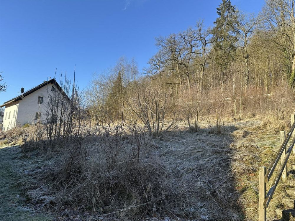 / Kaufpreisreduzierung -
 Baugrundstück in Meschede!