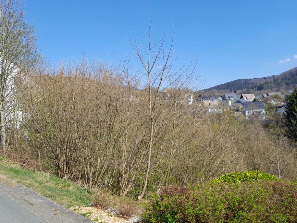 Keine Baupflicht