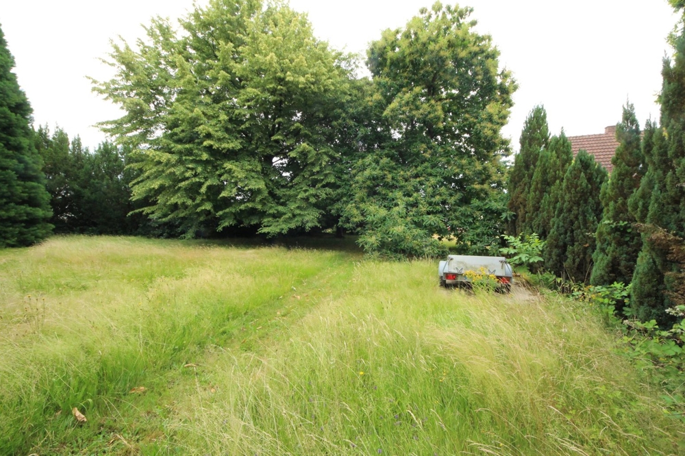 Baugrundstück ohne Bebauungspflicht... (4)