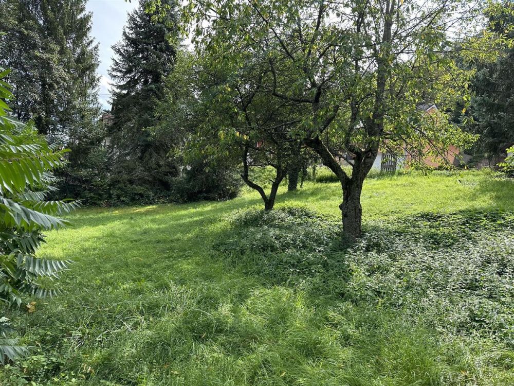 Super gelegenes Baugrundstück (4)