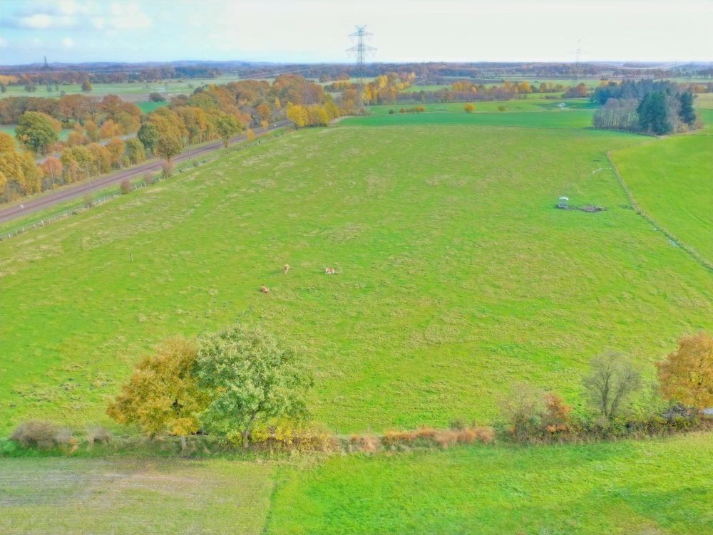 Interessante landwirtschaftliche Grünfläche mit geringem Waldanteil als bodenständige Kapitalanlage
