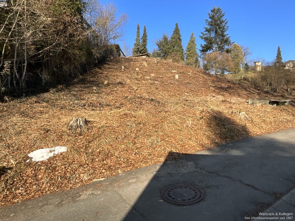 Grundstücksansicht