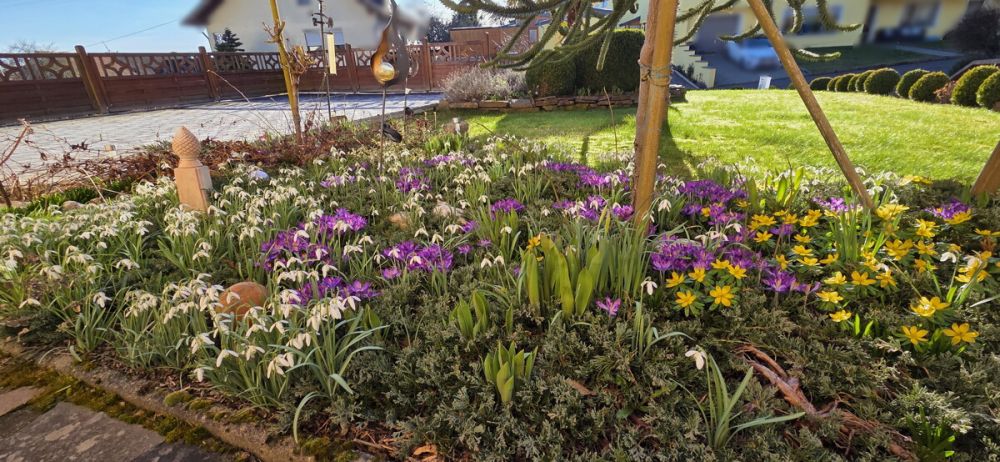 Ihr neues Zuhause in attraktiver Lage von Weiler! (4)