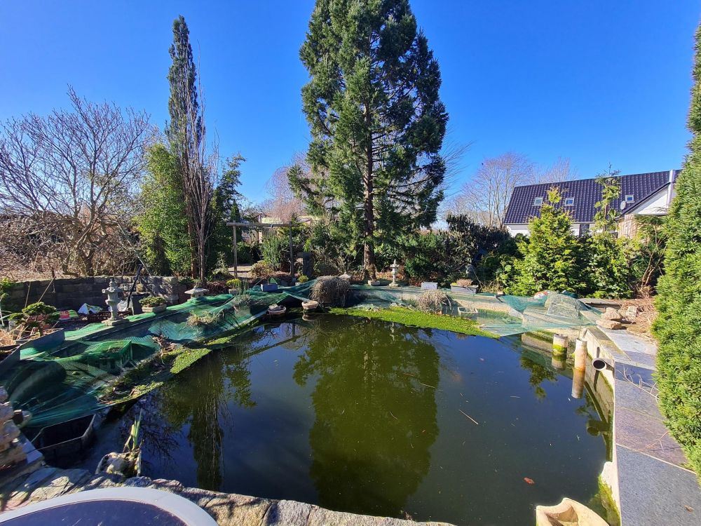 Kernsaniertes, gepflegtes Einfamilienhaus unweit der B200 und dennoch in ruhiger Lage