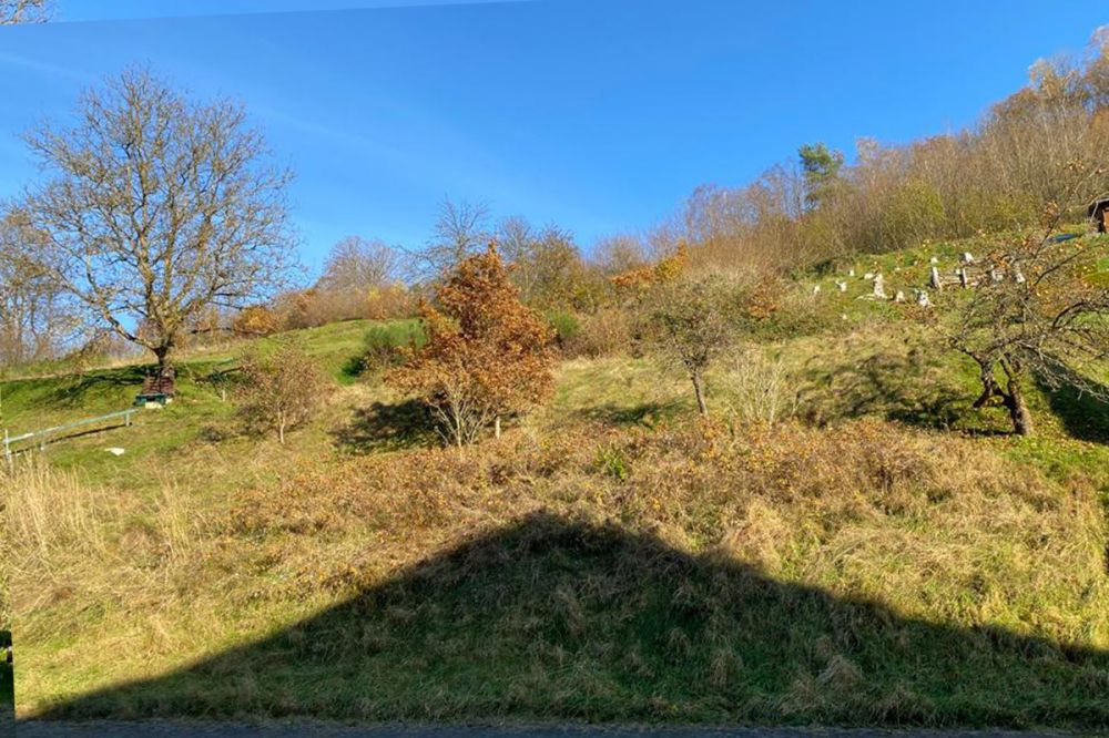 Grundstück für Bauherren mit viel Platzbedarf in Flörsbach!