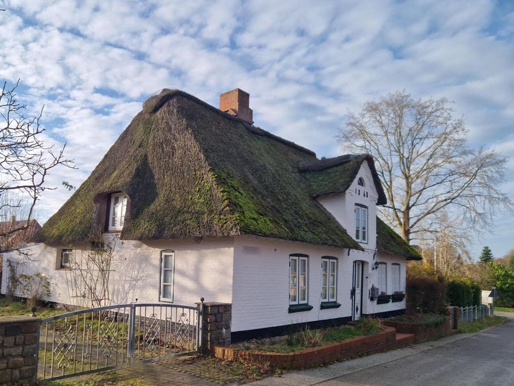 Ansicht Zufahrt mit Gartentor