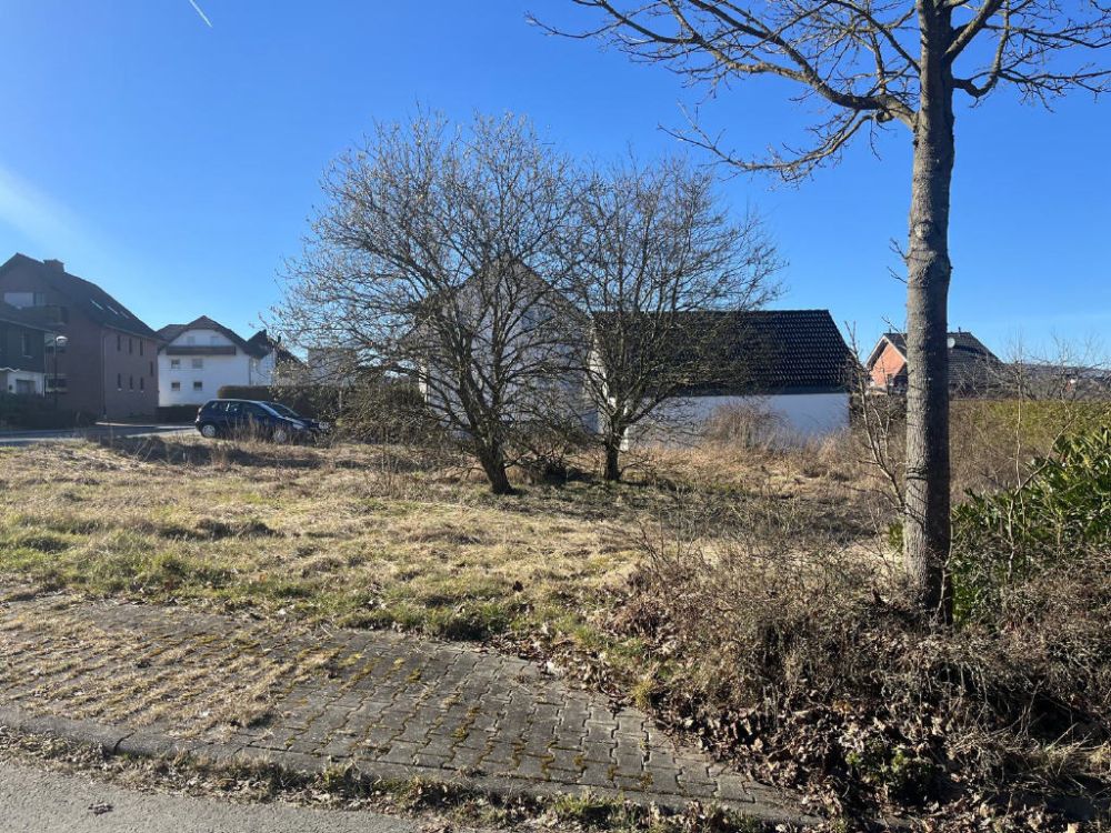 Bild4