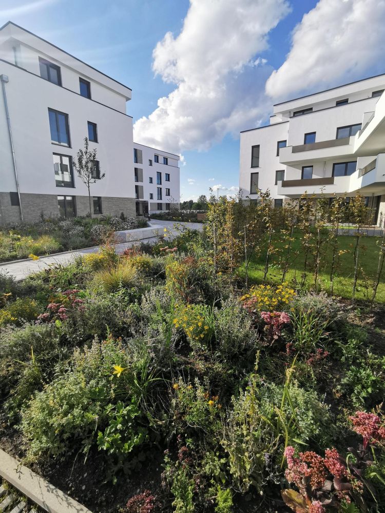 Leben im Grünen, die City genießen.