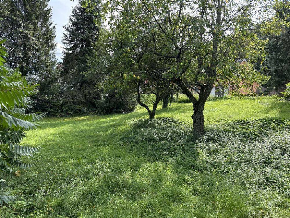 Super gelegenes Baugrundstück