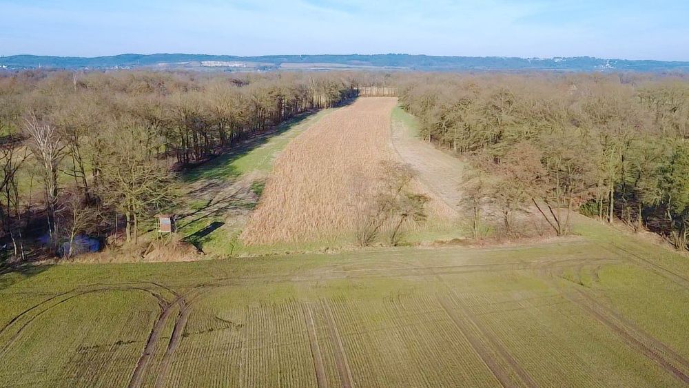 Vielseitige Landwirtschaftsfläche mit 5,29 ha in Brochterbeck! (4)