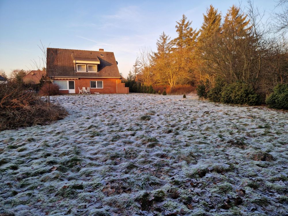 Blick aus dem Garten