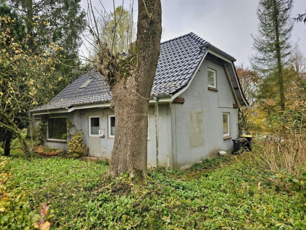 Modernes Wohnen in Alleinlage - auf großem Naturgrundstück und fußläufiger Entfernung zum NOK!