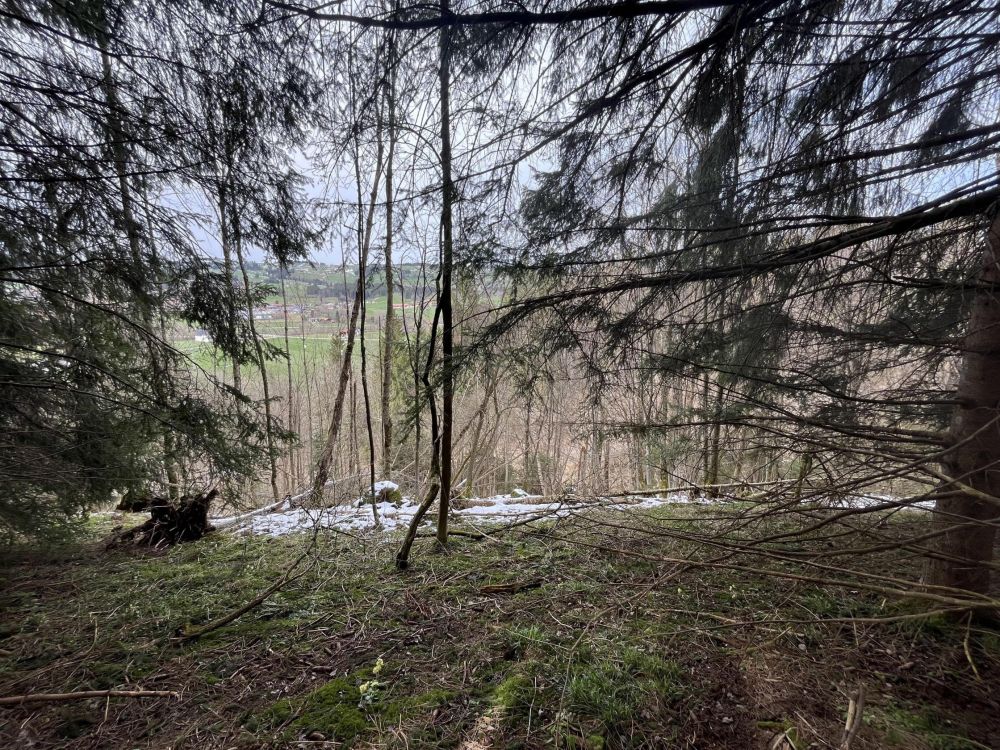 HOLZ MACHT 2x WARM!!!
Waldgrundstück in Wertach