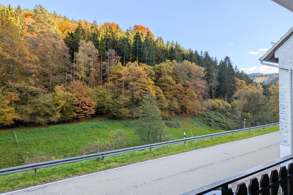 Interessantes Haus, großes Grundstück, separater Bauplatz im ruhigen von Natur umgebenen Sensbachtal