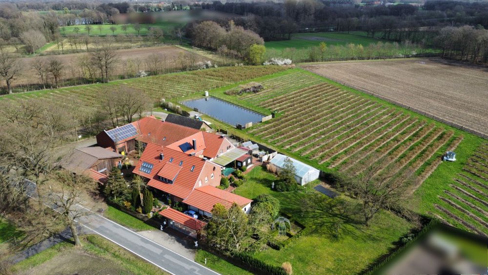 Mit der Natur im Einklang - Landwirtschaftliches Anwesen mit Potenzial! (5)