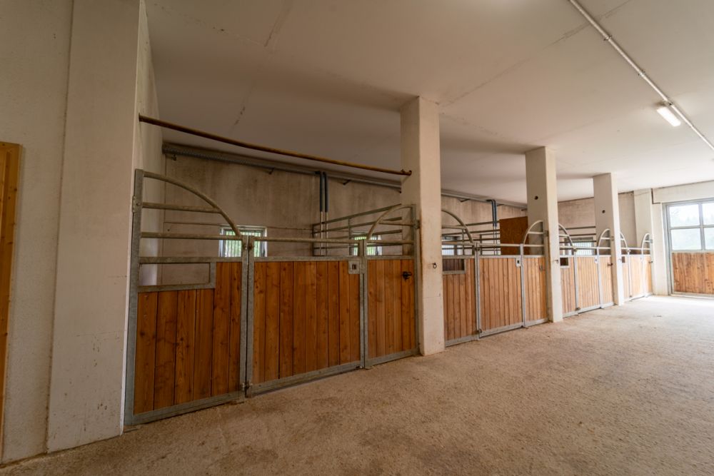 Traumhafte Reitanlage in idyllischer Naturlage – Perfekt für Westernsport-Enthusiasten!