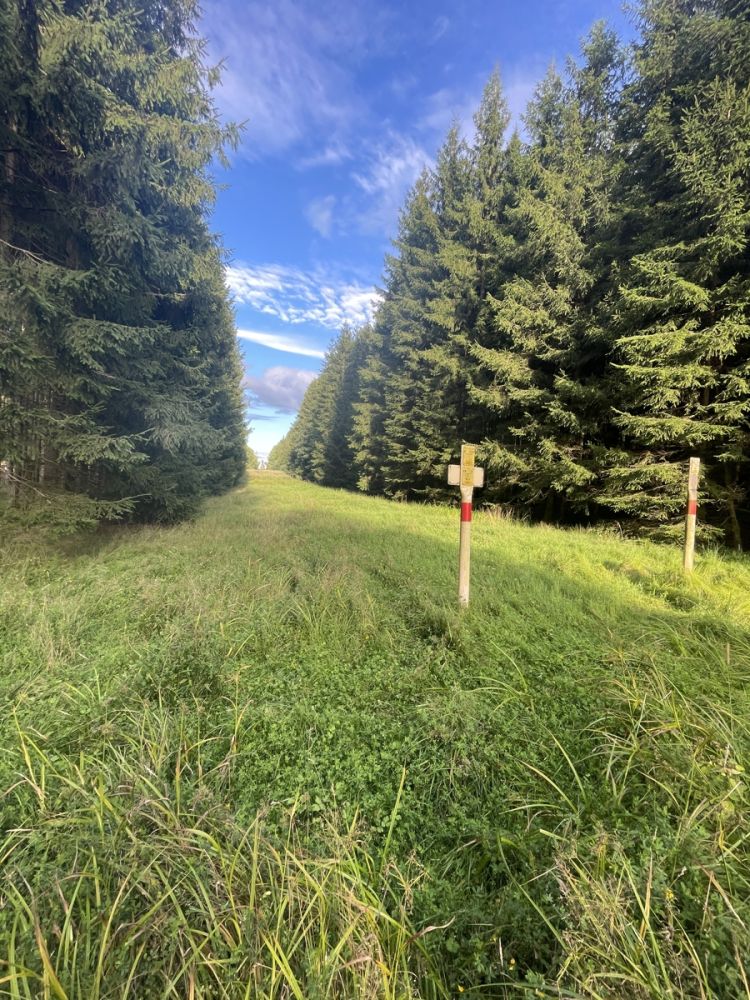 Waldgrundstück zu verkaufen!