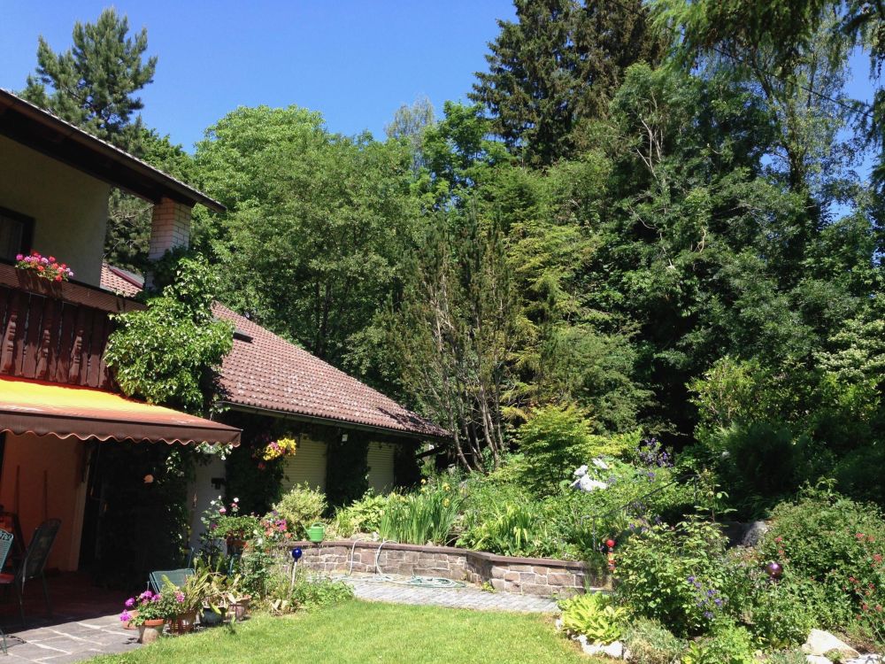 herrliches Grün rundum