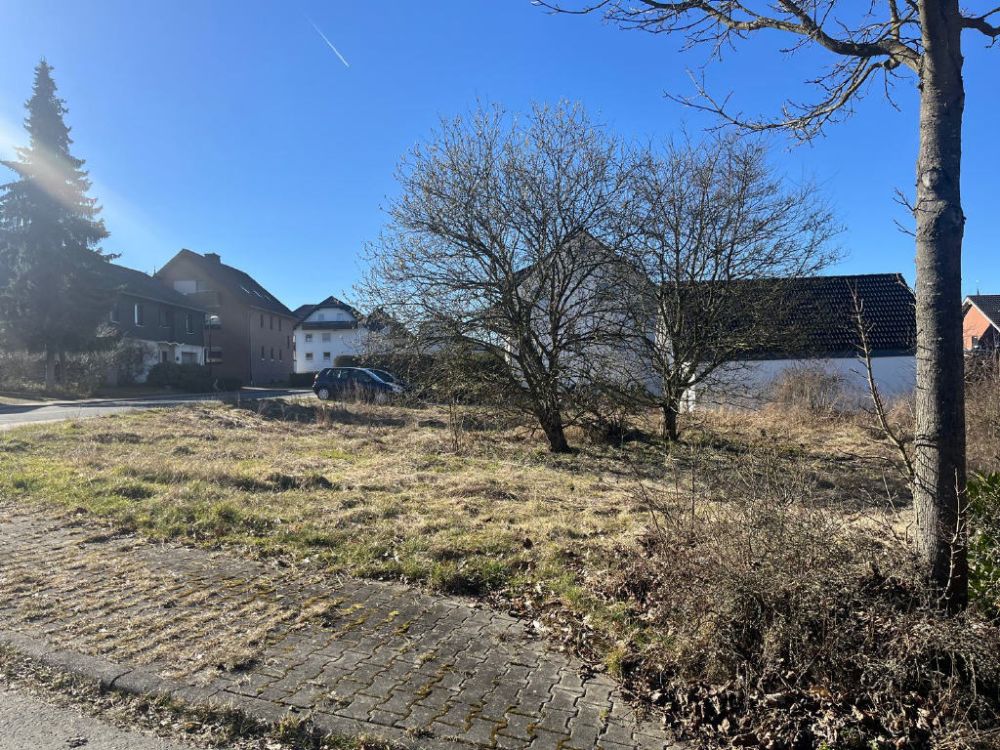 Bild5