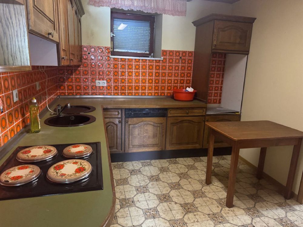 Leben im Nationalpark Hunsrück-Hochwald