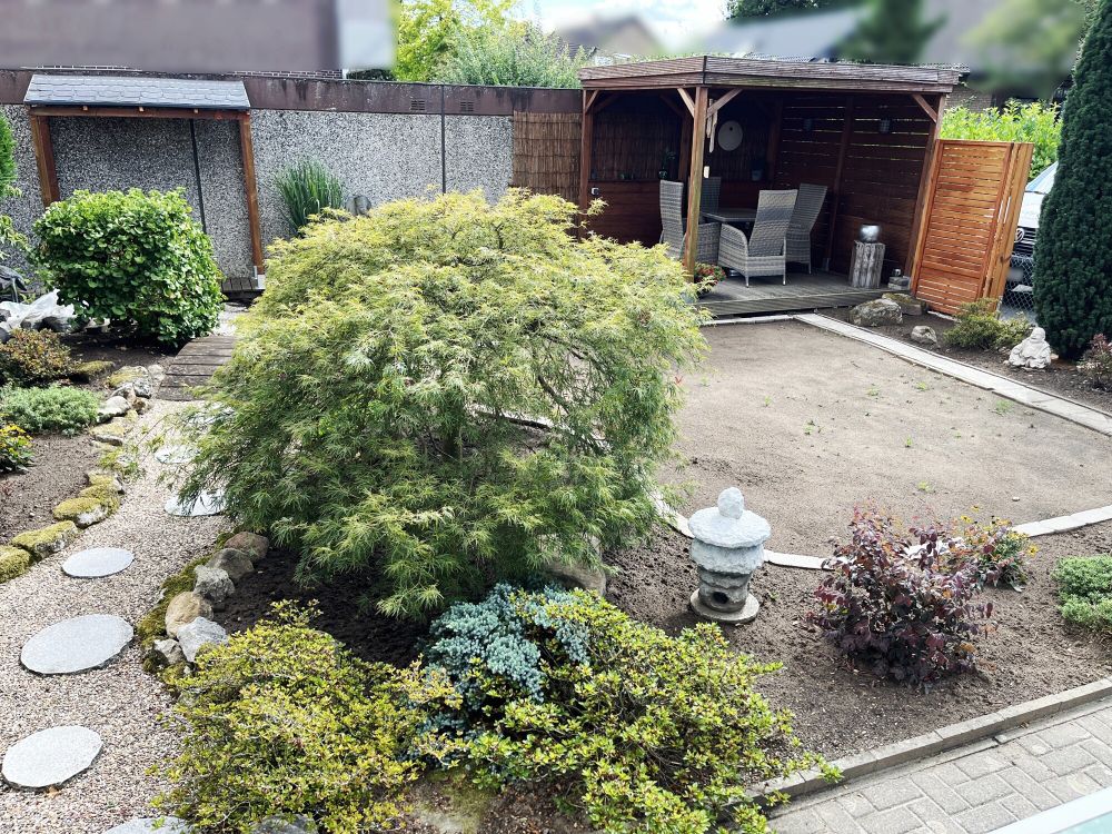 Neu angelegter Garten