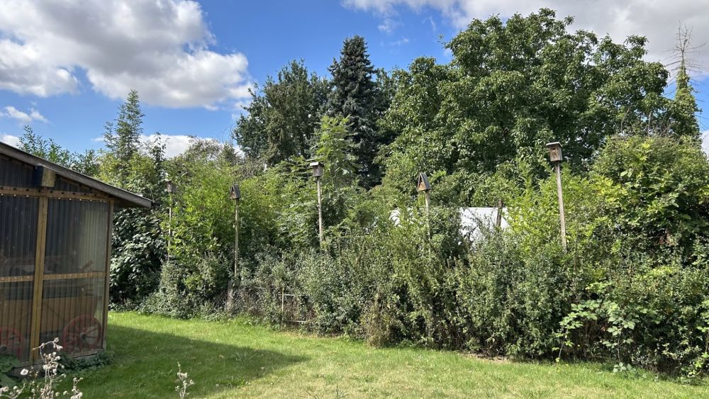 Naturnah und ebenerdig!