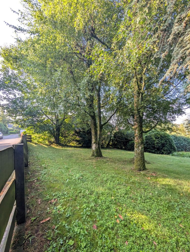 Ländliche Idylle pur! Wohnbaugrundstück in Kürten-Engeldorf