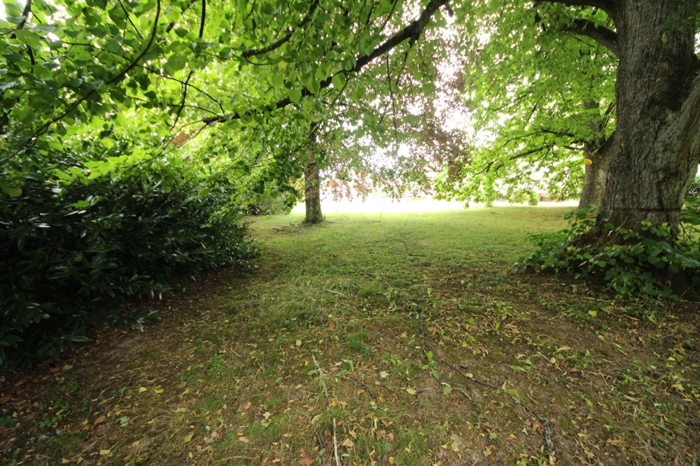 Baugrundstück ohne Bebauungspflicht... (6)