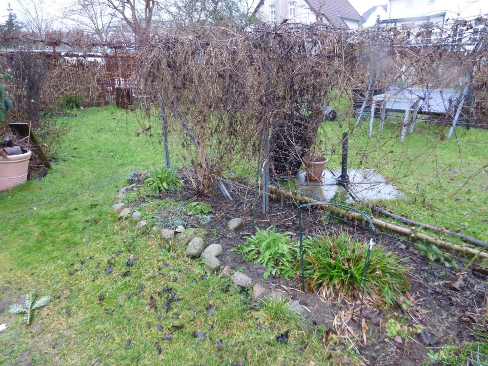 Mehrfamilienhaus / Lessingstrasse / Bad Doberan.