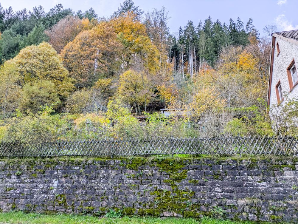 Interessantes Haus, großes Grundstück, separater Bauplatz im ruhigen von Natur umgebenen Sensbachtal