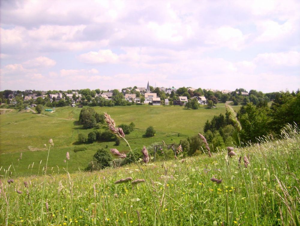 Bild6