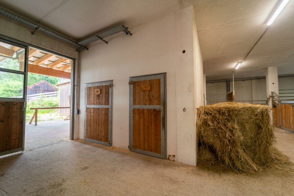 Traumhafte Reitanlage in idyllischer Naturlage – Perfekt für Westernsport-Enthusiasten!