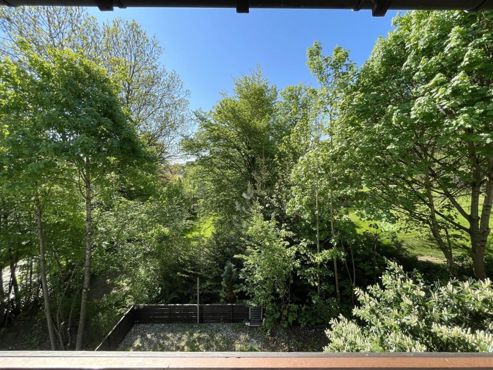 Blick nach Süden ins Grüne