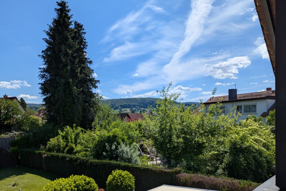 1 Haus 2 Wohnungen? Eigentlich beides! Viel Platz & viele Möglichkeiten in zentraler Lage von Erbach