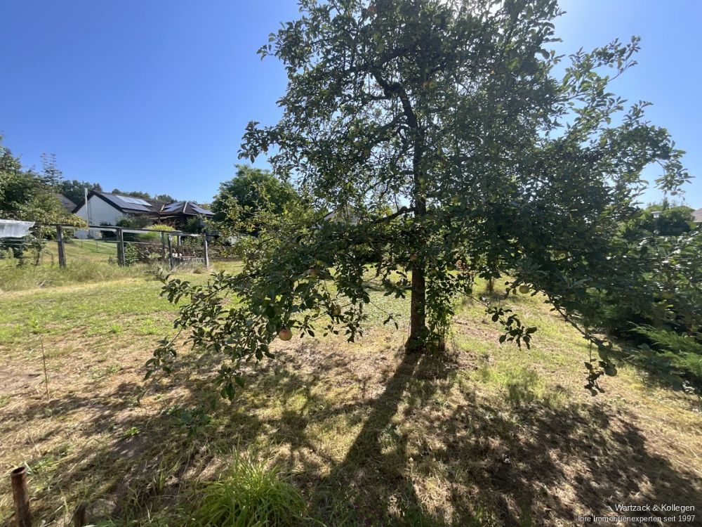 Herrliches Grundstück 
zur sofortigen Bebauung 
mit einem Ein- oder Zweifamilienhaus