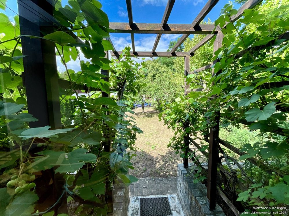 Blick in den Garten