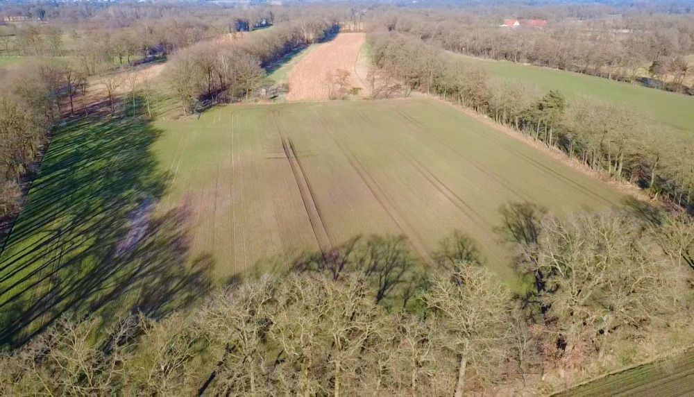 Vielseitige Landwirtschaftsfläche mit 5,29 ha in Brochterbeck! (6)