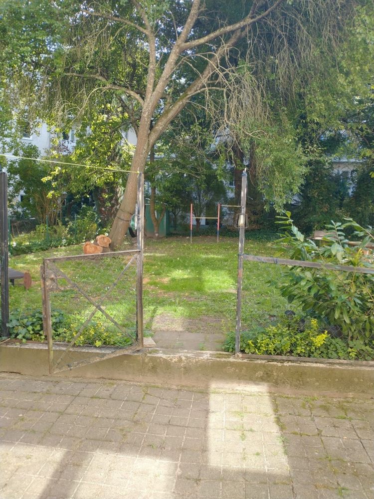 Kapitalanlage in zentraler Lage / 8 x ETW