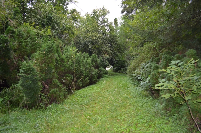 außergewöhnliches Grundstück mit Altbestand