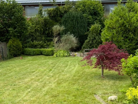 weitere Rasenfläche