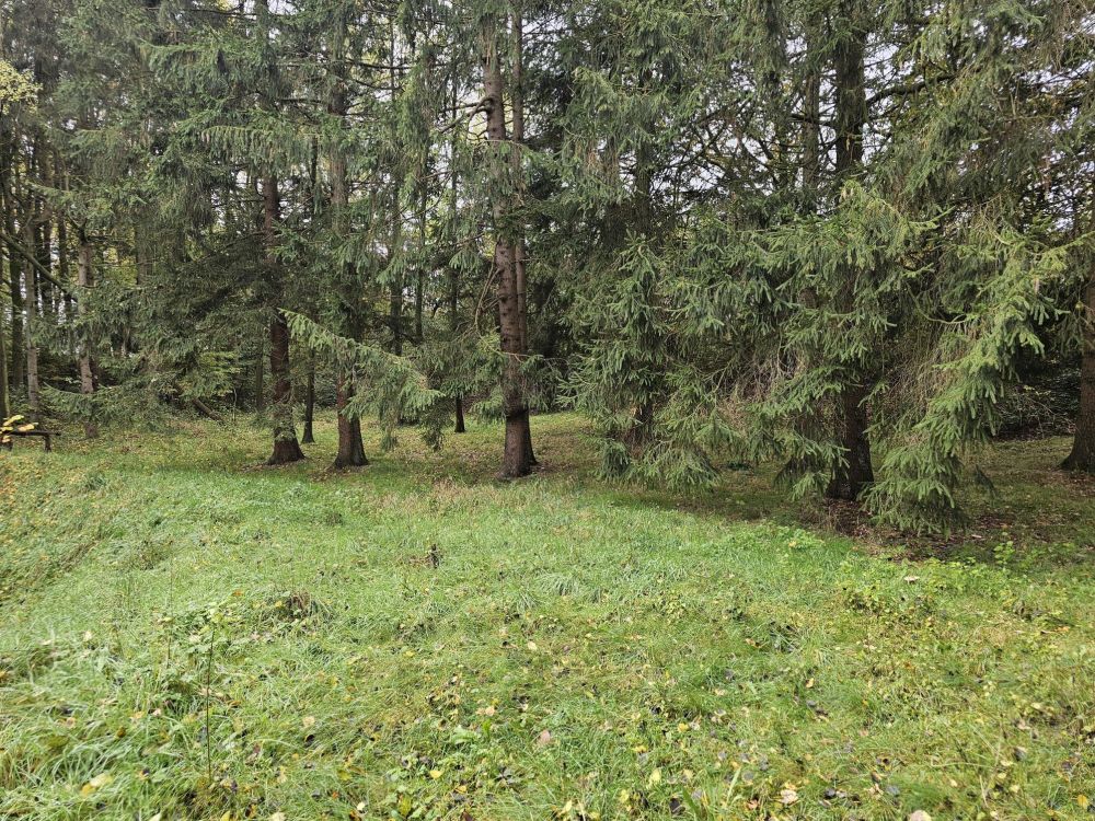 Modernes Wohnen in Alleinlage - auf großem Naturgrundstück und fußläufiger Entfernung zum NOK!