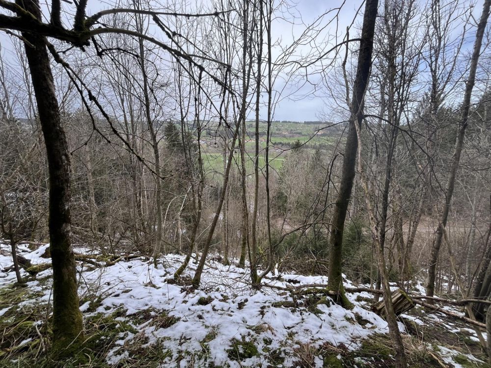 HOLZ MACHT 2x WARM!!!
Waldgrundstück in Wertach