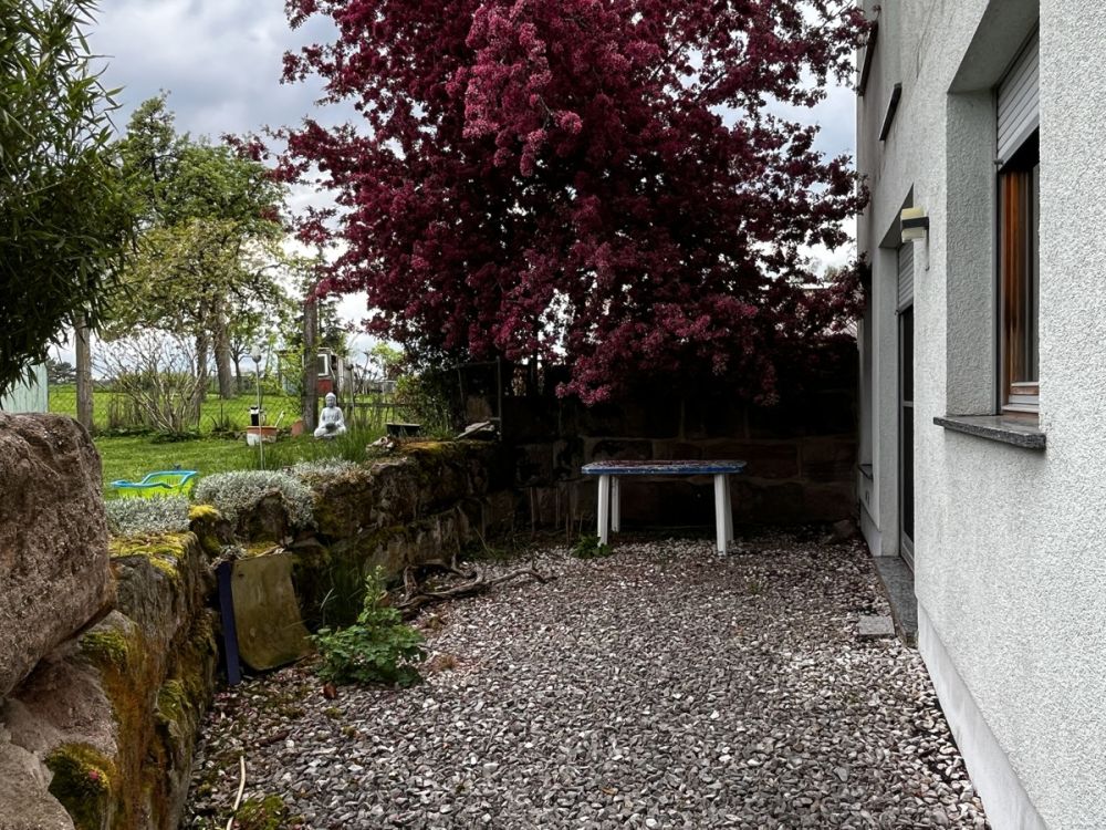 Ideal für die große Familie oder den Mehrgenerationenhaushalt! (7)