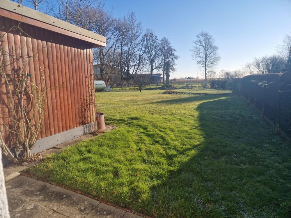 Blick in den grünen Garten