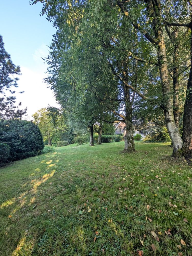 Ländliche Idylle pur! Wohnbaugrundstück in Kürten-Engeldorf